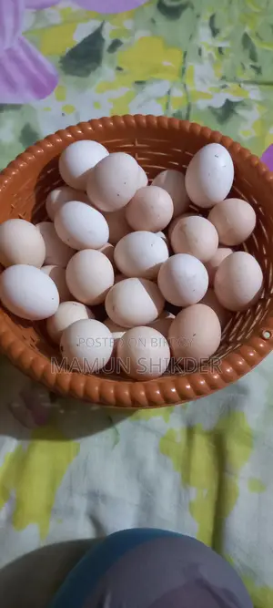 কিছু মুরগির ডিম বিক্রি করা হবে