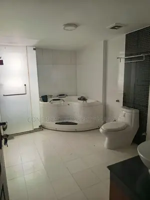 Semi Furnished Apartment For Rent In Baridhara