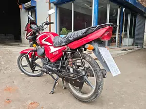 Runner Cheeta 2022
