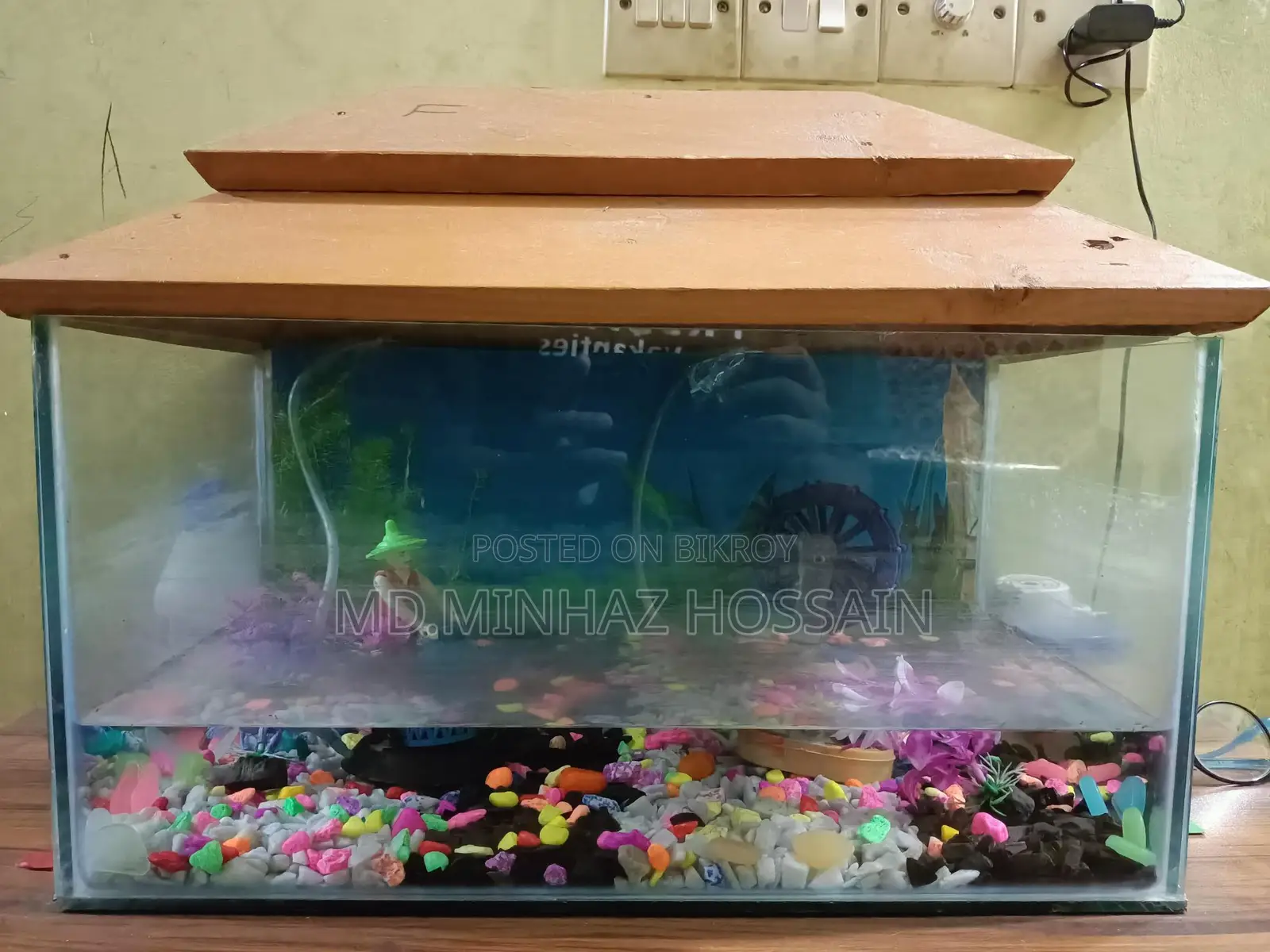 Aquarium With Coloring Background