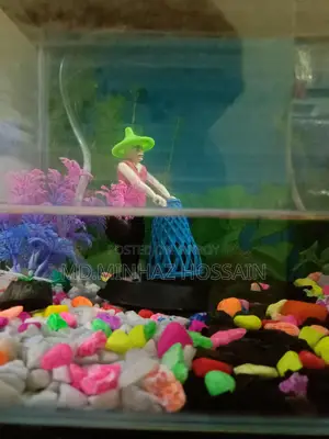 Aquarium With Coloring Background