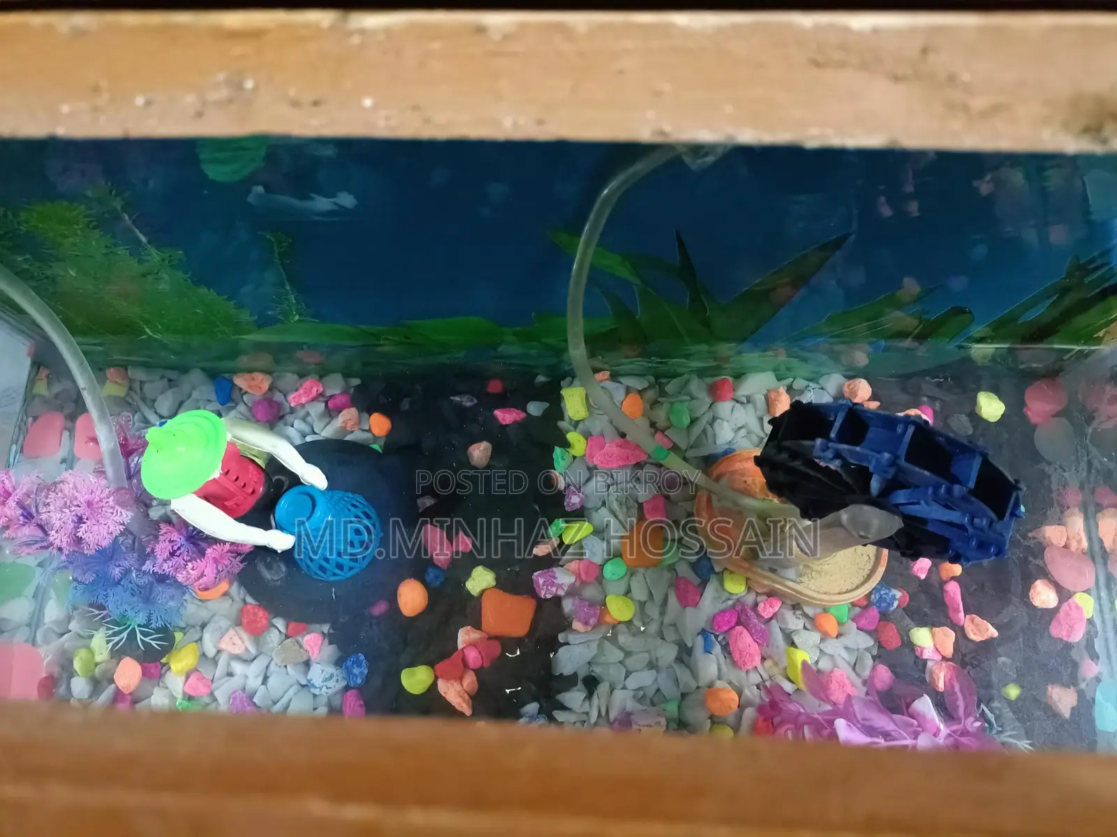 Aquarium With Coloring Background