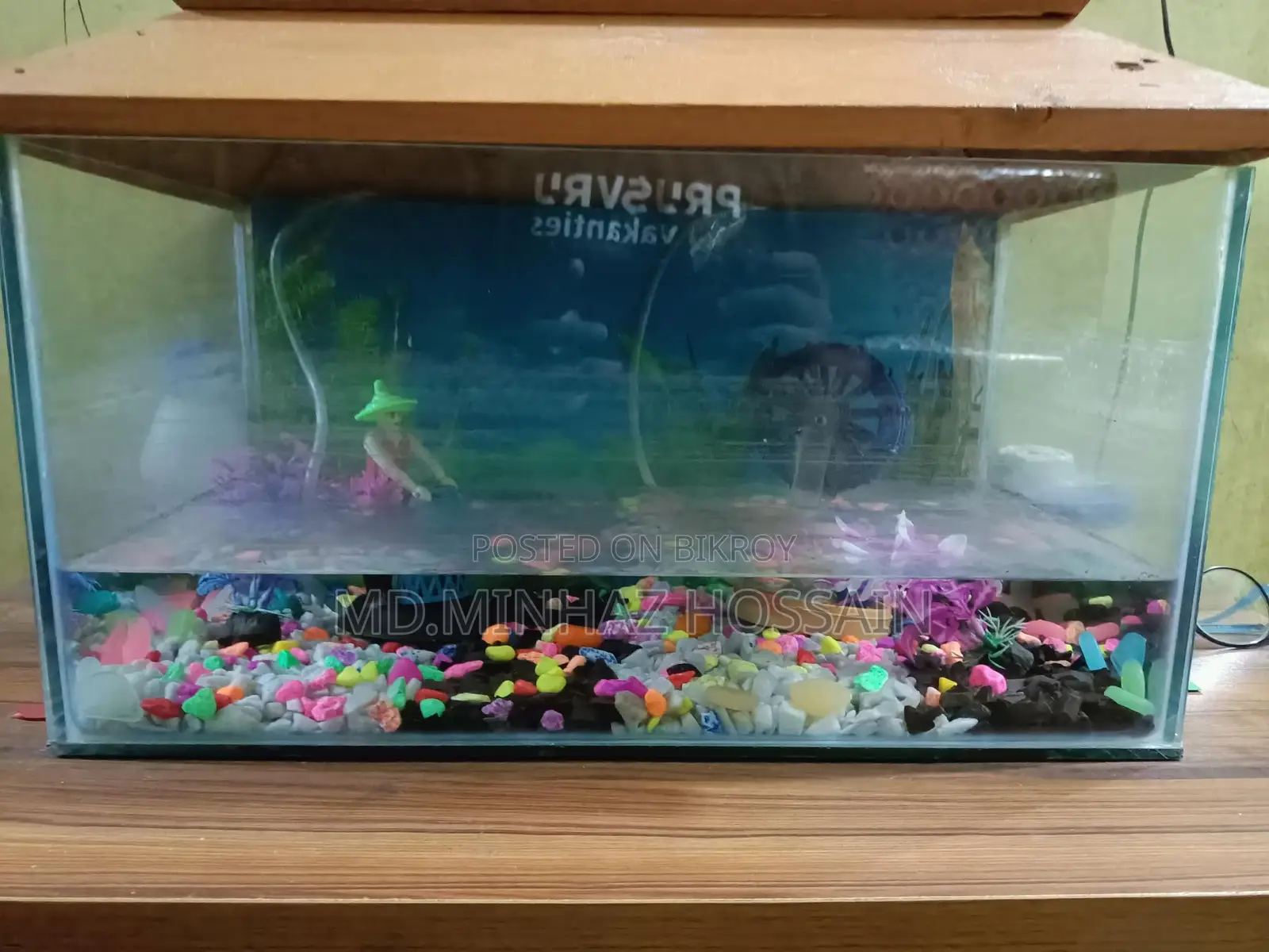 Aquarium With Coloring Background