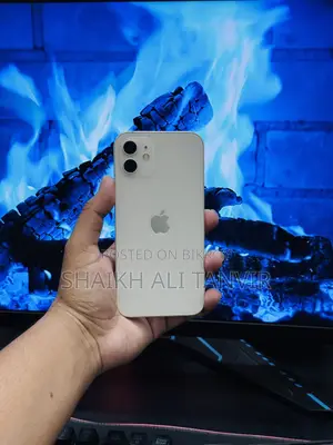 Apple iPhone 12 (Used)