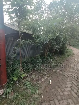 Land with House for Sale in Joydebpur, Gazipur at an Affordable Price