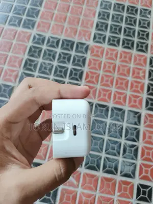 20W Adapter