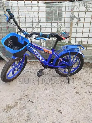 Phoenix Bicycle