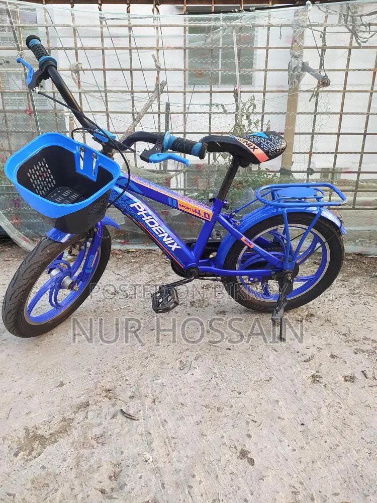Phoenix Bicycle