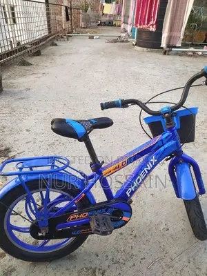 Phoenix Bicycle