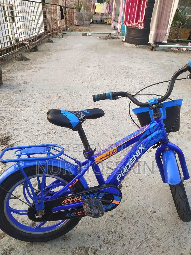 Phoenix Bicycle