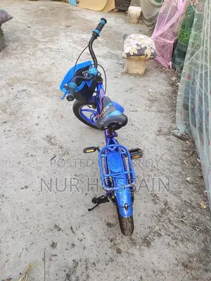 Phoenix Bicycle