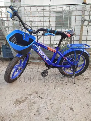 Phoenix Bicycle