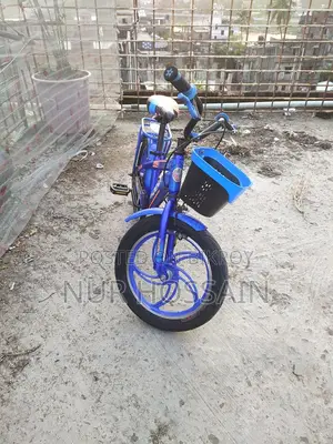 Phoenix Bicycle