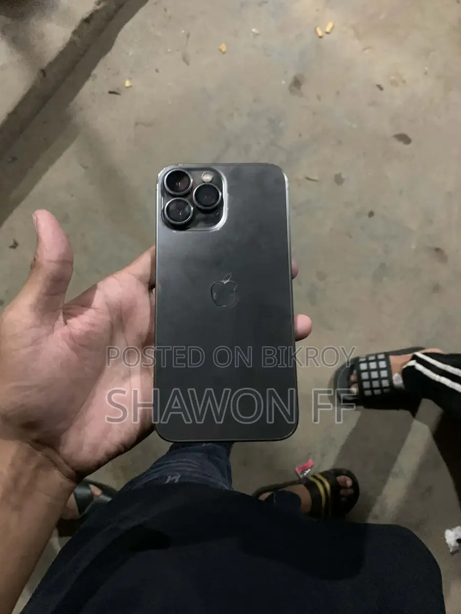 Apple iPhone 13 Pro Max (Used)