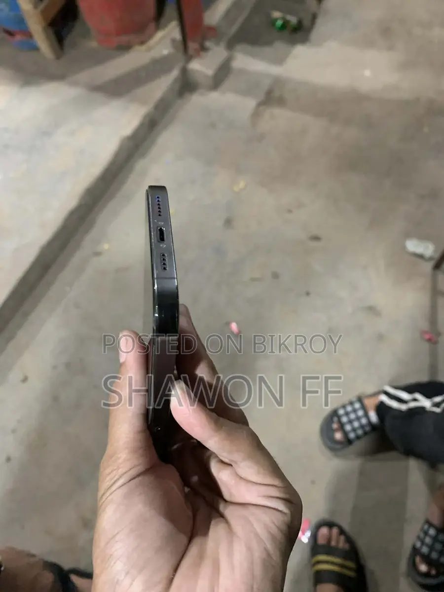 Apple iPhone 13 Pro Max (Used)
