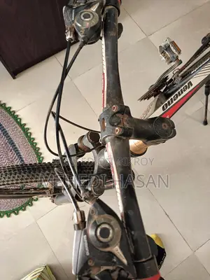 Bicycle For Sale