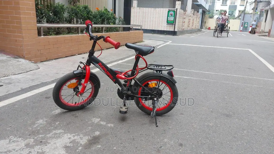 Used Cycle