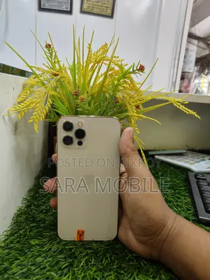 Apple iPhone 12 Pro (Used)