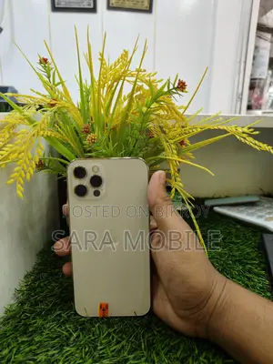 Apple iPhone 12 Pro (Used)