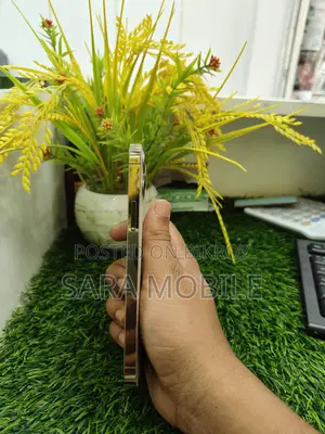 Apple iPhone 12 Pro (Used)