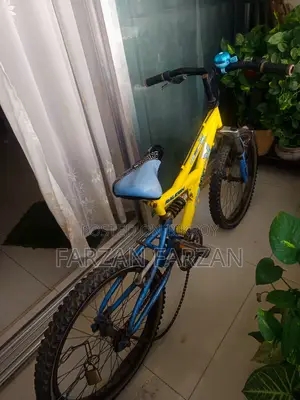 Mountain Bike for Sale