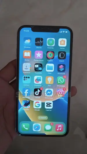 Apple iPhone X 256 GB (Used)