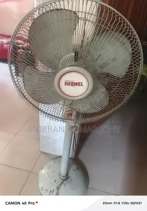 একটি ইস্টার্ন ফ্যান বিক্রয় করা হবে