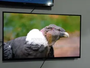 Sony TV for Sale