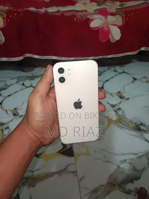 Apple iPhone 12 (Used)