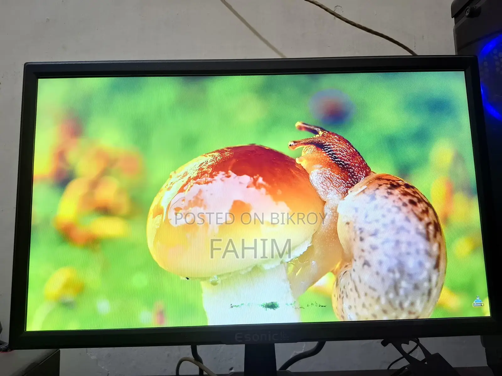 Esonic 20 Inch Monitor