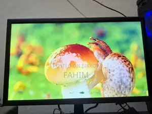 Esonic 20 Inch Monitor