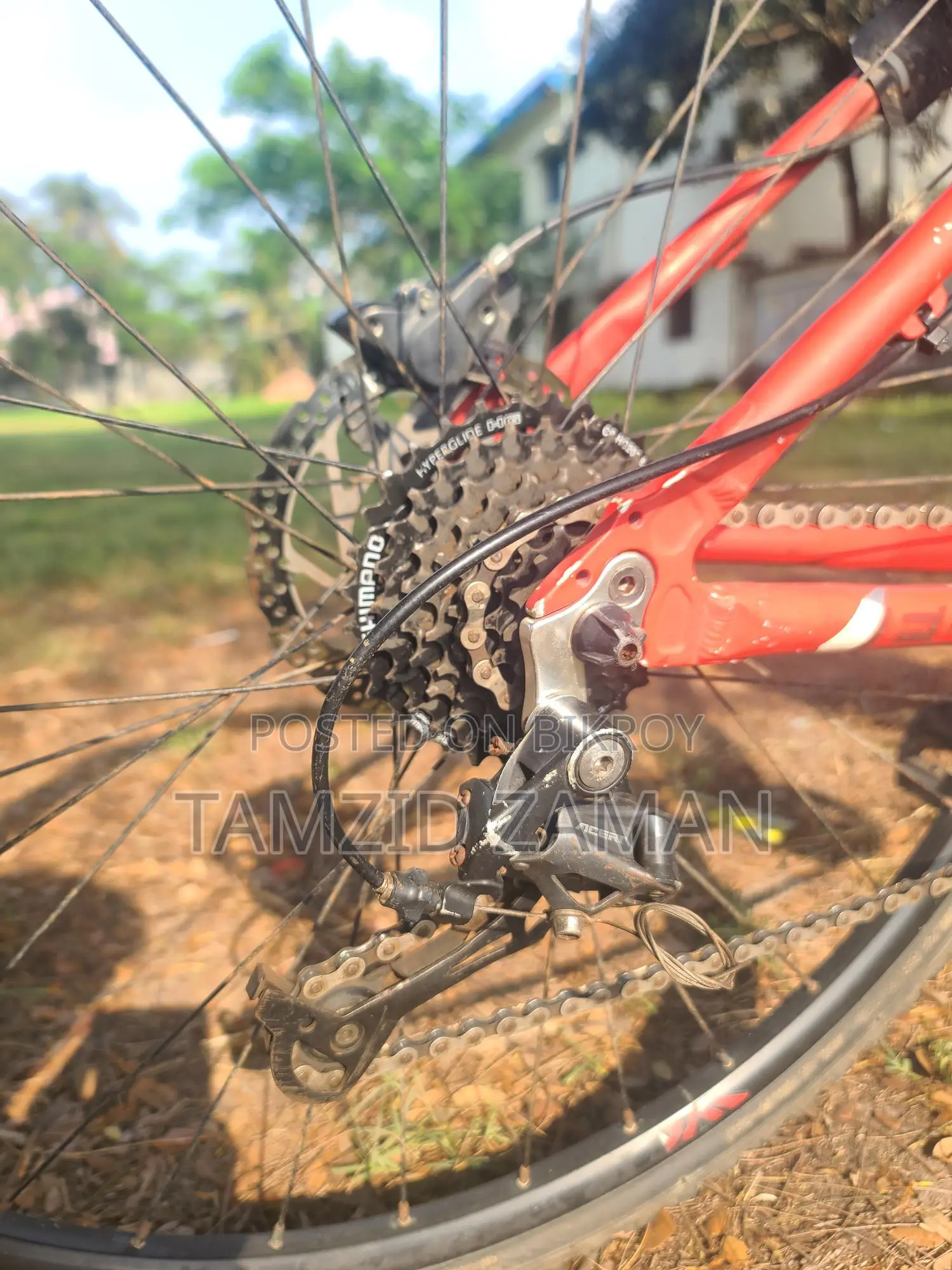 Focus 29" Customized Cycle