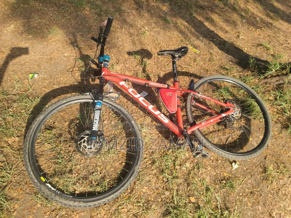 Focus 29" Customized Cycle