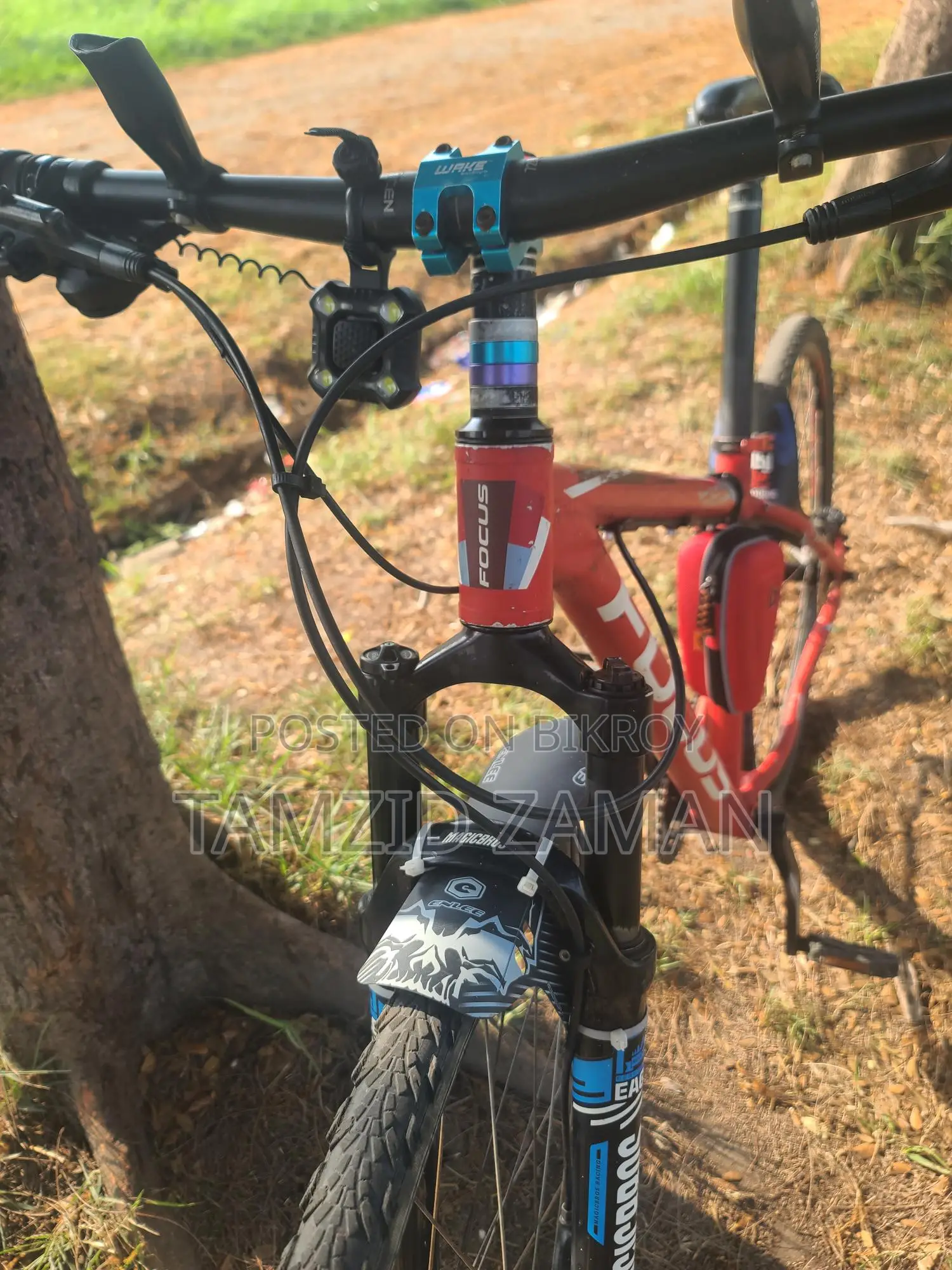 Focus 29" Customized Cycle