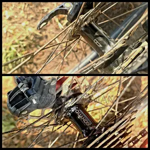 Focus 29" Customized Cycle