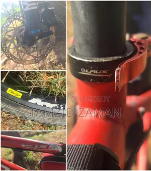 Focus 29" Customized Cycle