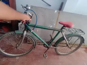 Bicycle Sale