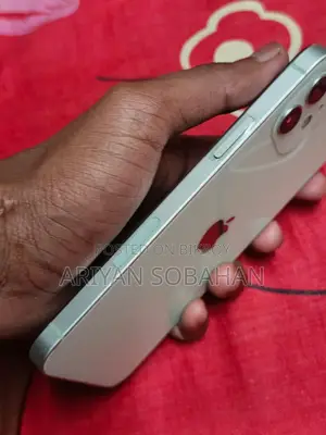 Apple iPhone 12 (Used)
