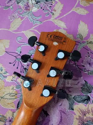 Chard-f4090c Guitar (with Equalizer)