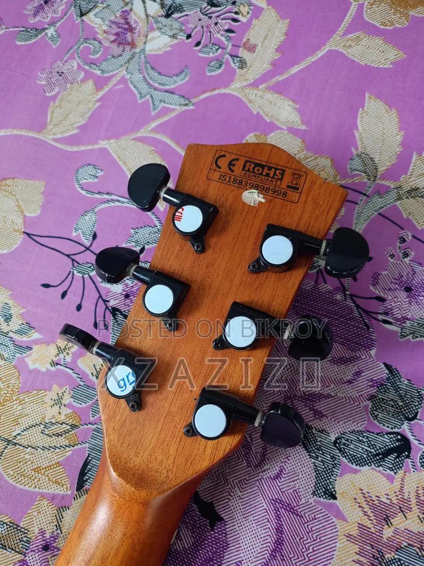 Chard-f4090c Guitar (with Equalizer)