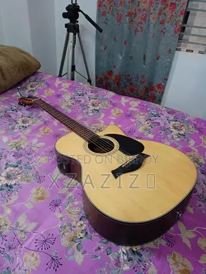 Chard-f4090c Guitar (with Equalizer)
