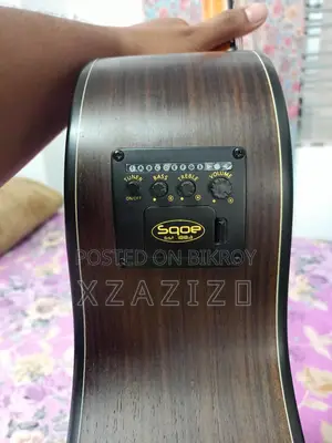 Chard-f4090c Guitar (with Equalizer)