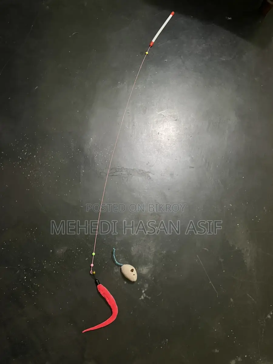 Cat Toy