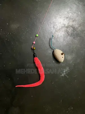 Cat Toy