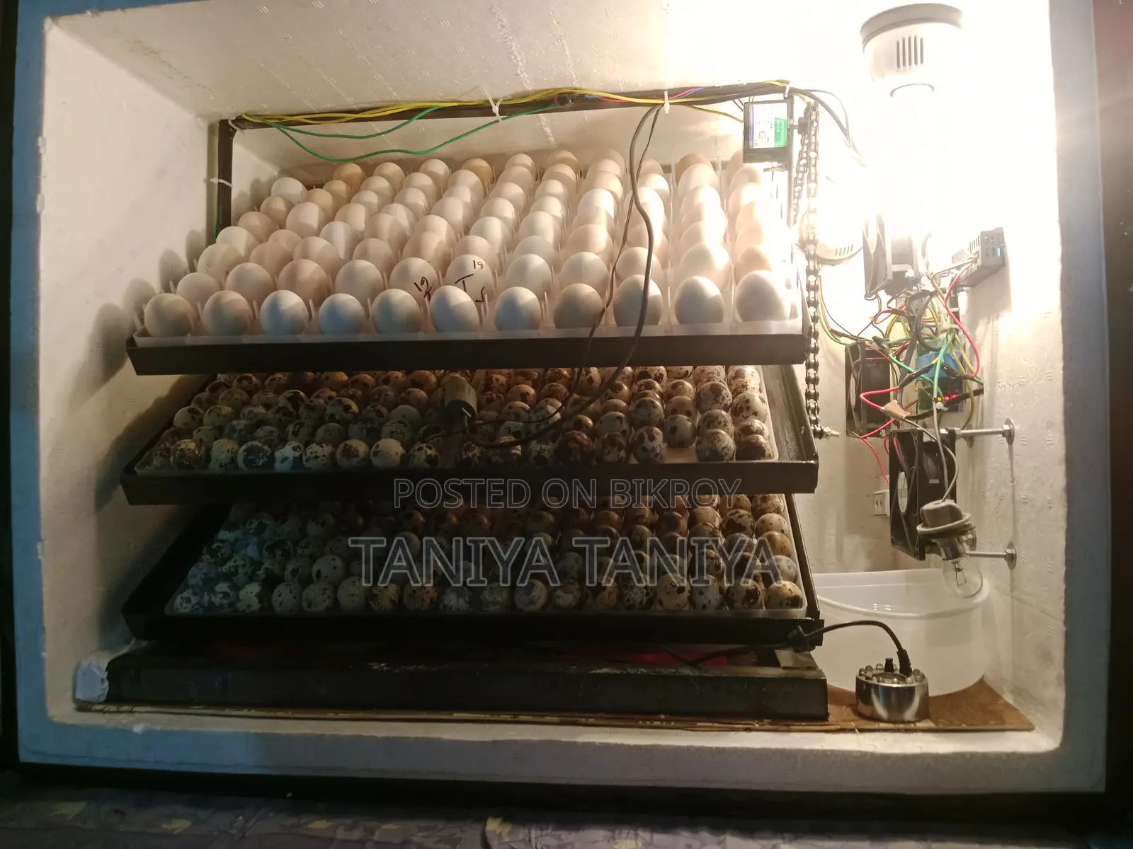 ইনকিউবেটর বিক্রি হবে
