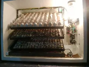 ইনকিউবেটর বিক্রি হবে