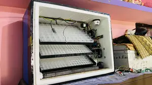 ইনকিউবেটর বিক্রি হবে