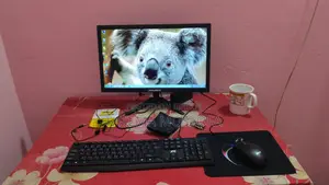 Starex Monitor and PC