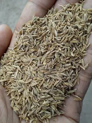 Get 100% Pure Cumin.