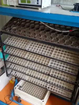 Incubator 1800 Dim